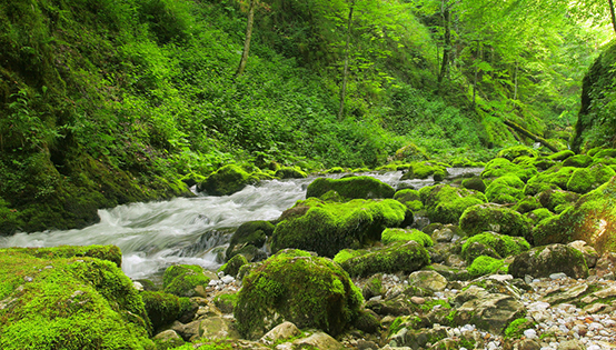 全聯(lián)環(huán)境商會建言：環(huán)保欠費納入問責(zé)范圍