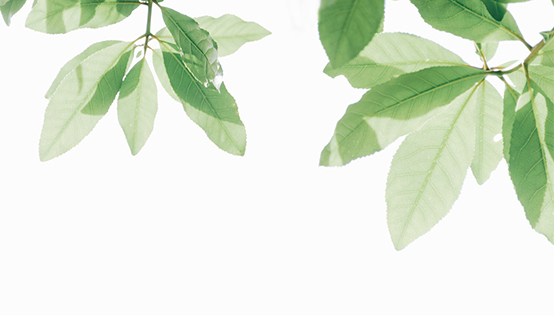 你知道負(fù)氧離子在生活中的重要性嗎??