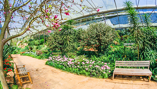 我國環(huán)境治理過高，依賴行政手段，缺少市場化調(diào)節(jié)