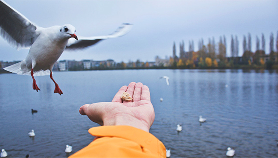 合理規(guī)劃保護(hù)飲用水水源地