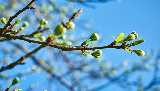 中華環(huán)保聯(lián)合會副主席杜少中：中國環(huán)保的春天來了