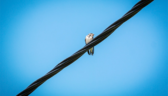 固定污染源廢氣 非甲烷總烴排放連續(xù)監(jiān)測技術(shù)指南（試行）