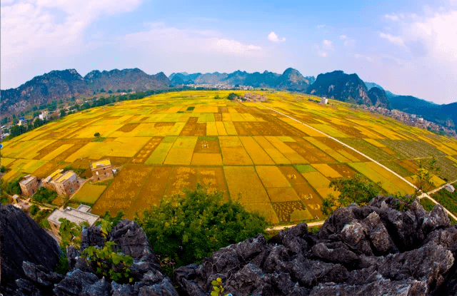 廣東創(chuàng)新生態(tài)環(huán)境信訪工作五大機(jī)制 助力高質(zhì)量發(fā)展