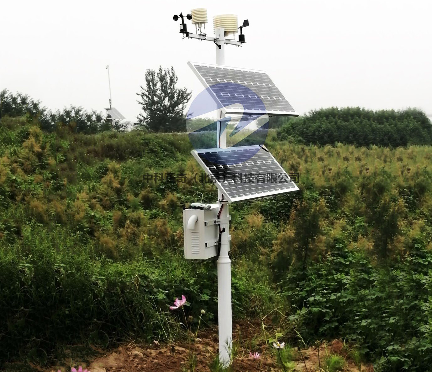 黃河濕地公園-負氧離子