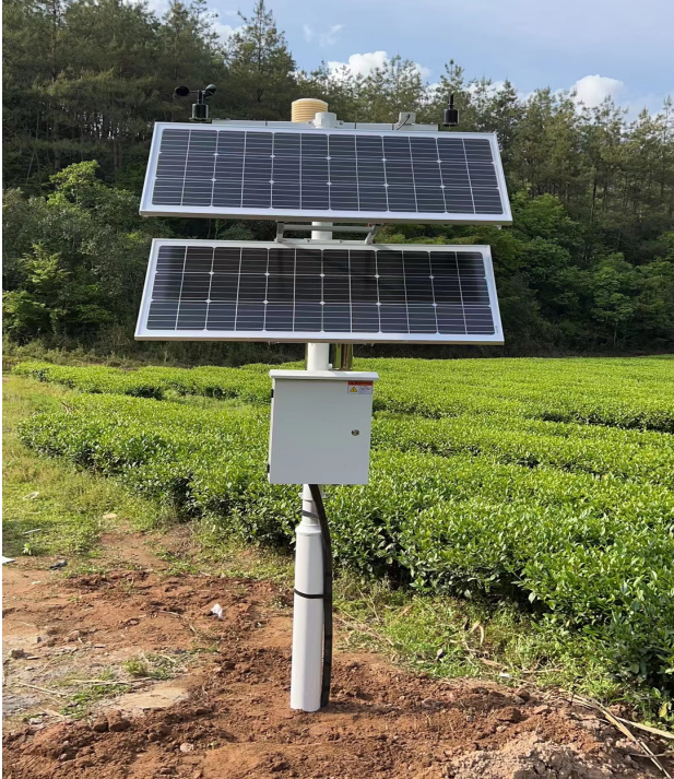 氣象“良方”護航黑土糧倉