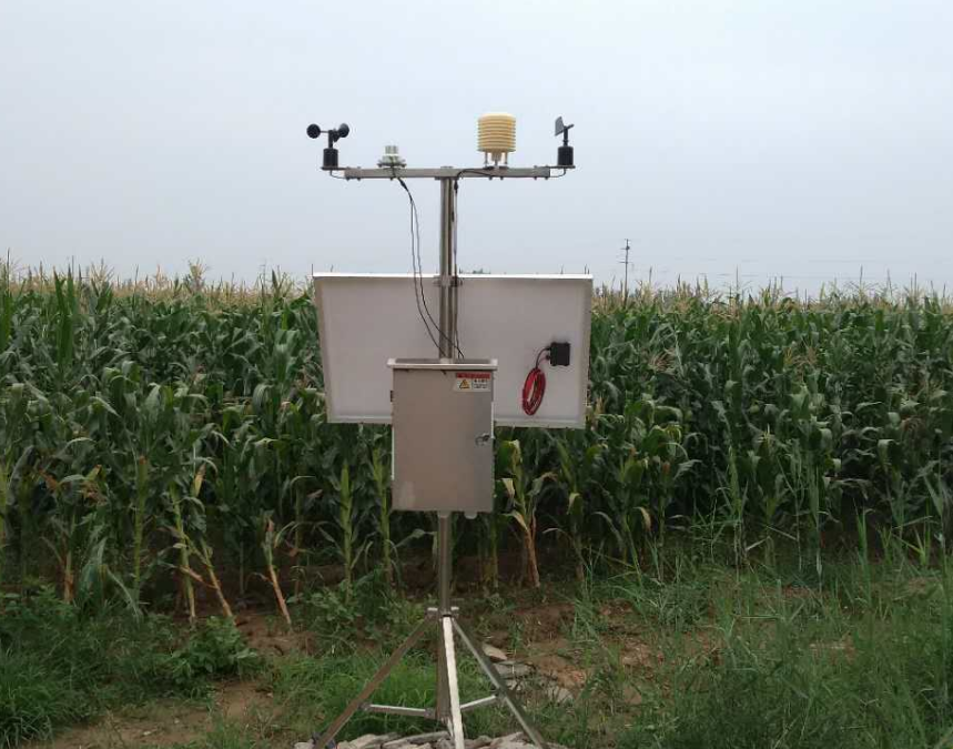 為什么大棚種植中需要農(nóng)業(yè)氣象站