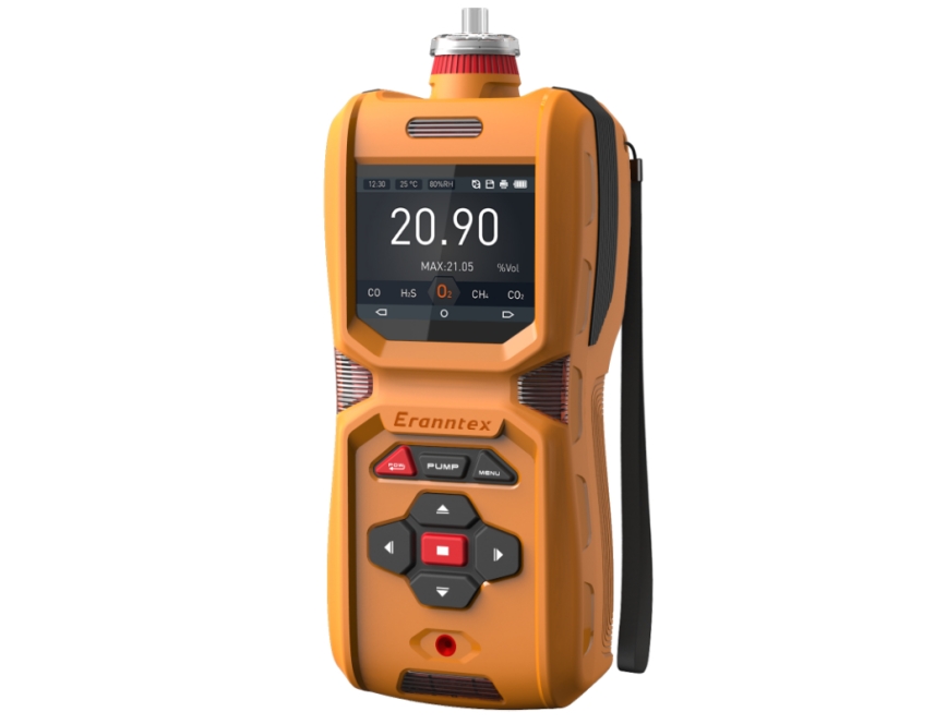MS600便攜式氣體檢測儀